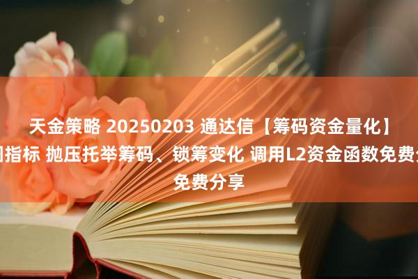 天金策略 20250203 通达信【筹码资金量化】副图指标 抛压托举筹码、锁筹变化 调用L2资金函数免费分享