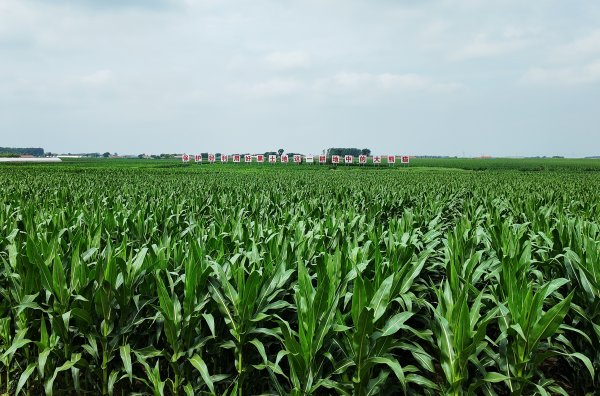 胜亿配资  活力中国调研行｜农技创新！智慧农业蹚出黑土粮仓丰产增收新路径