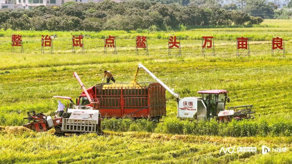 中金优配 落实“百千万工程”! 珠海农控集团: 五项举措保障夏粮归仓