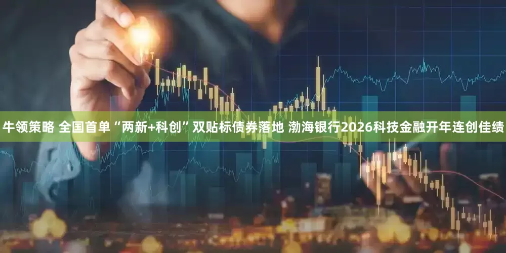 牛领策略 全国首单“两新+科创”双贴标债券落地 渤海银行2026科技金融开年连创佳绩